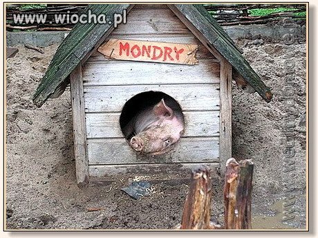 Mondry