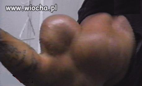 Co za biceps 