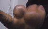 Co za biceps 