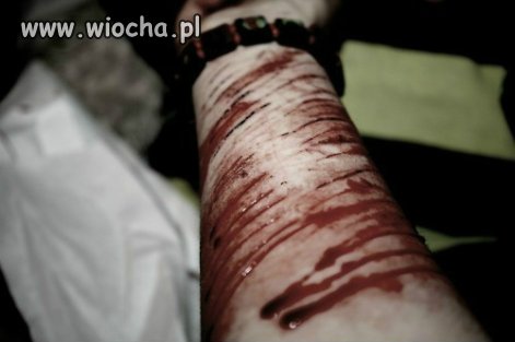 Fotka z fbl.