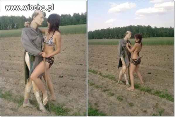 Takie tam na polu..