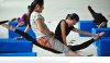 Jeszcze trening