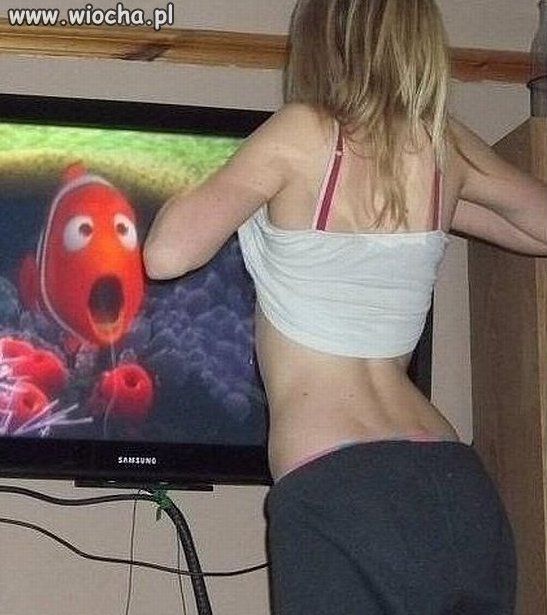 Co powie nemo?  