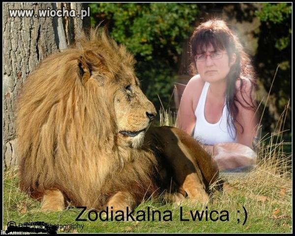 Lwica