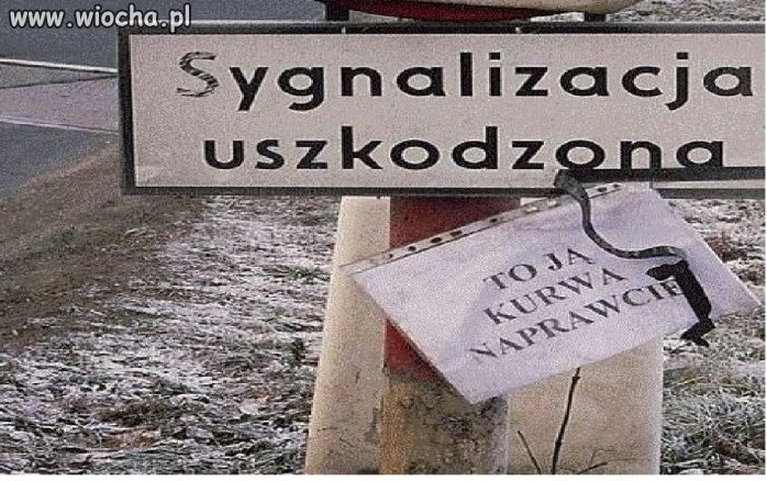 HaHa Polskie Sygnalizacje 