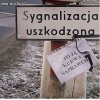 HaHa Polskie Sygnalizacje 