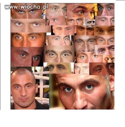Czy te oczy mogą kłamać?