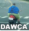 Dawca ale czego?