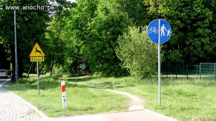 Takie ścieżki rowerowe tylko w Kwidzynie...