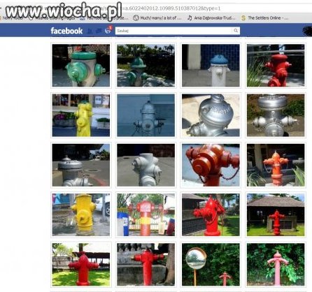 Prawdziwy miłośnik hydrantów
