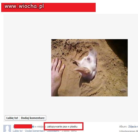 Idiota "bawi" się psem