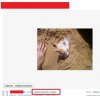 Idiota "bawi" się psem