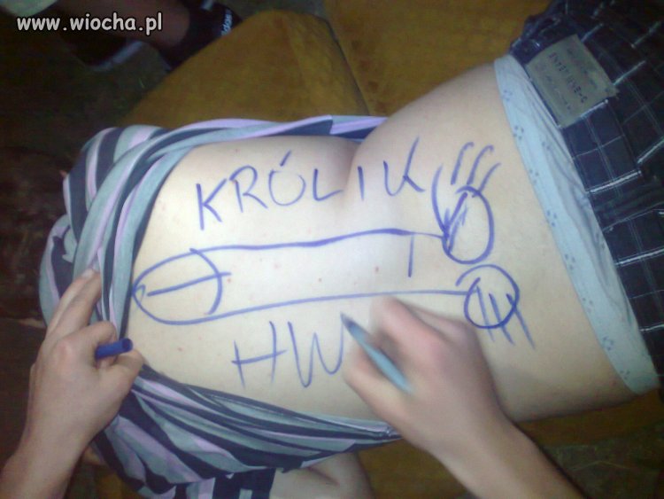 Karny.. "królik" ?!