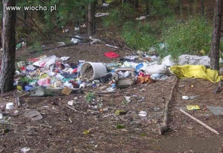 Mazury ... nazywane Płucami naszego kraju 