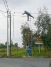 Asekuracja