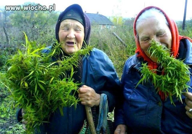 Po Zbiorach.