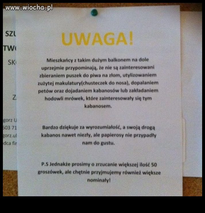 Polak Potrafi...