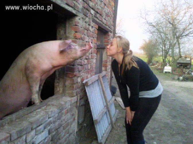 Kto chce jeszcze buziaka?