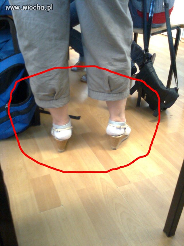 Moda powraca