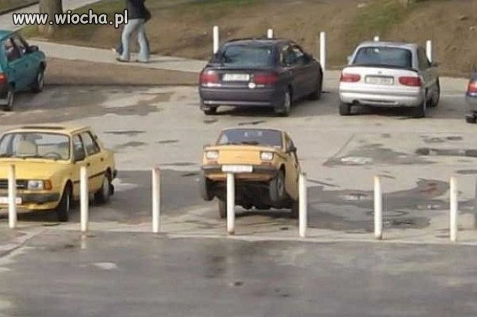 Mistrz parkowania
