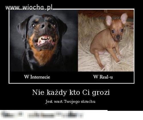 Pozdrowienia dla wszystkich "kozaków"