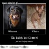 Pozdrowienia dla wszystkich "kozaków"