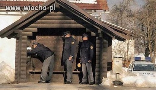Grupa zryw