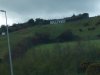 Hollywood
