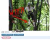 Odpoczynek na drzewie w...