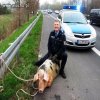 A w świat pójdzie: pojmano groźnego przestępce