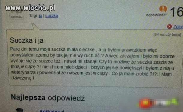 Suczka i ja