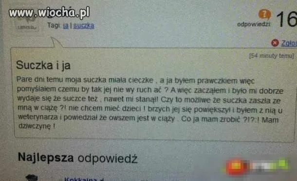 Suczka i ja