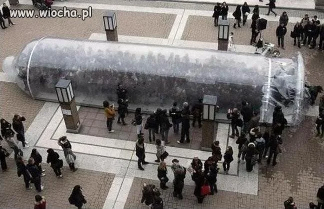 Prezentacja .