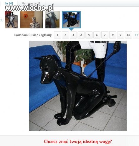 Uległy szuka dominującej...