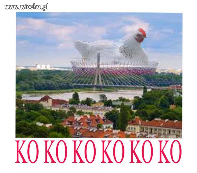 KO KO KOKOKOKOKOK