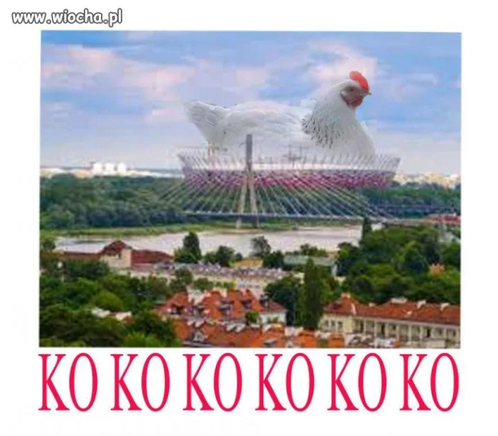KO KO KOKOKOKOKOK