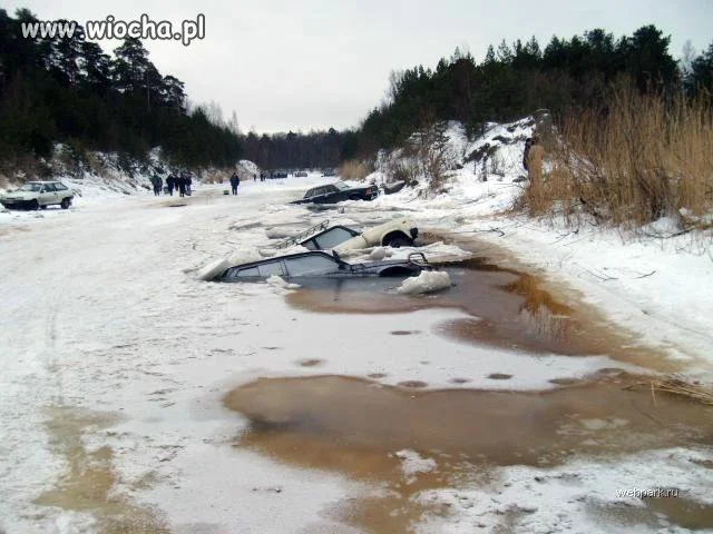 Mądrusie na rybki przyjechali.