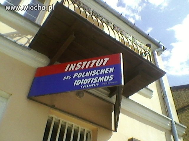 Instytut Polskiego Idiotyzmu
