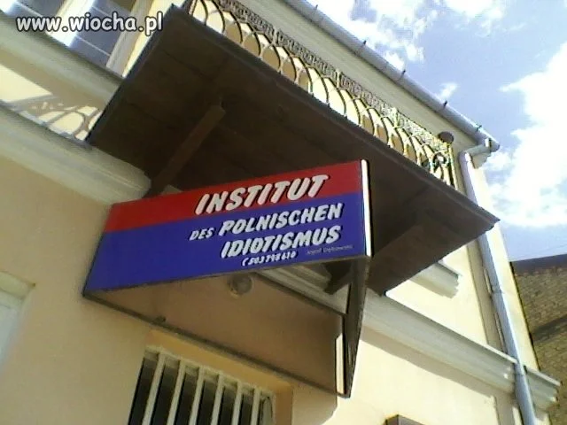 Instytut Polskiego Idiotyzmu
