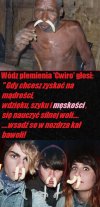 Mewa zaćwierkała z szynką