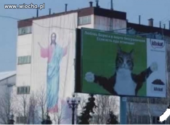 Kitekat.