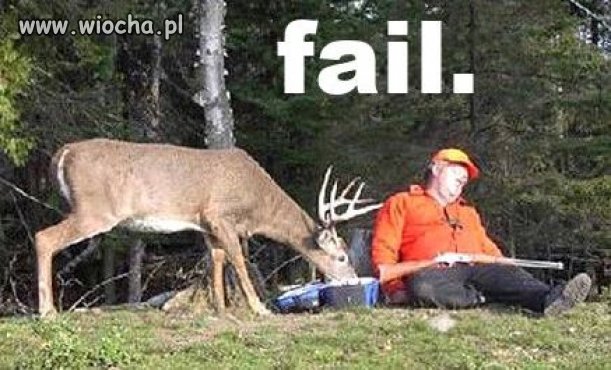 Jaka siara!
