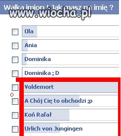 Poprawna polszczyzna  ehh 