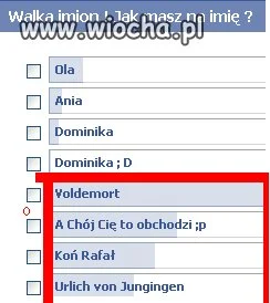 Poprawna polszczyzna  ehh 