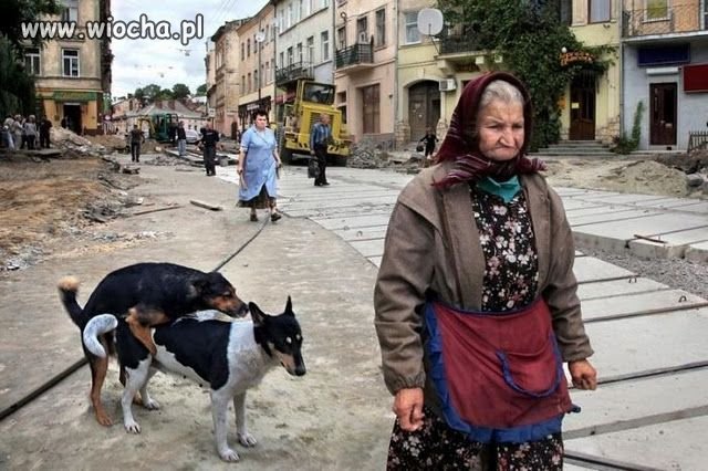 PKP - Polska Kocha Prezerwatywy