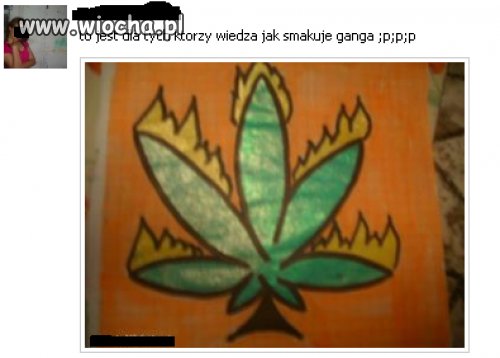 Jak smakuje ganga?