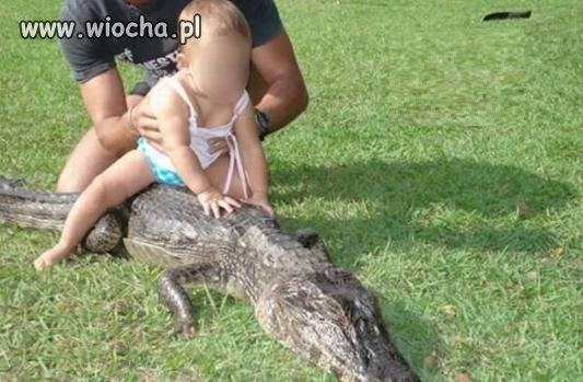 Gdzie rodzice mózg zgubili 