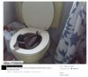 No właśnie jak można? 