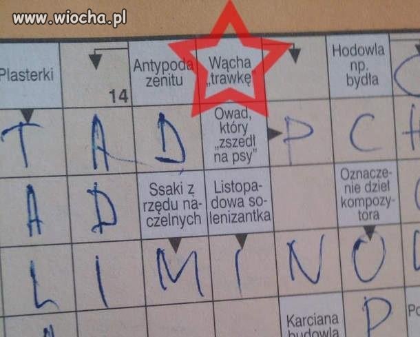 Ciekawe kto taki