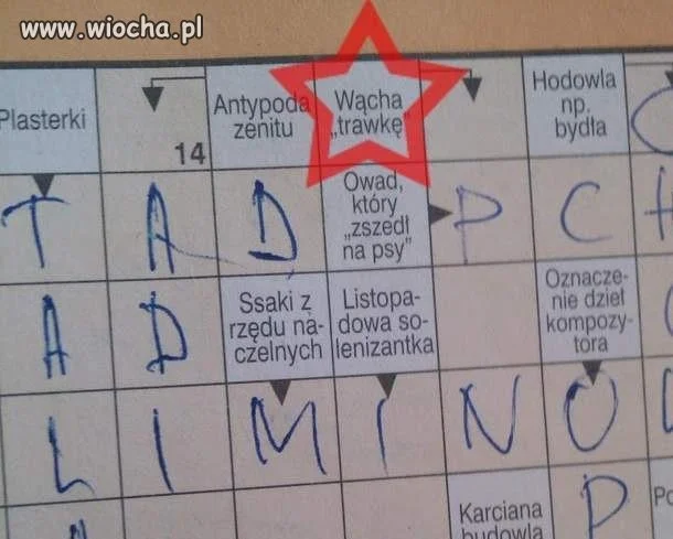 Ciekawe kto taki
